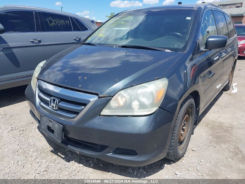 2006 Honda Odyssey VIN: 5FNRL38436B504947 Lot: 12034546