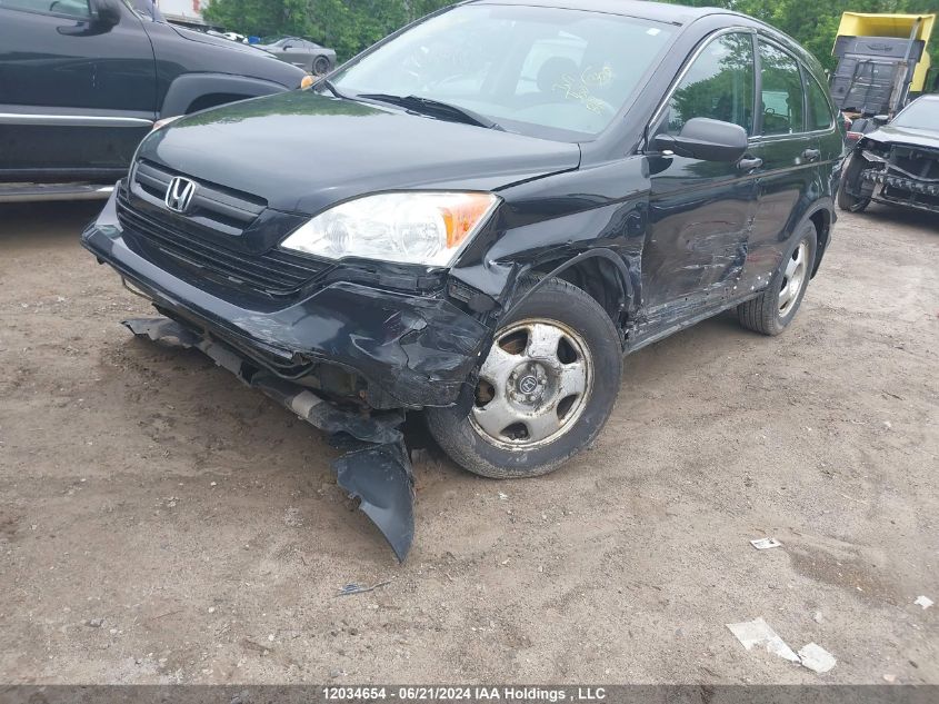 2007 Honda Cr-V Lx VIN: 5J6RE48397L800989 Lot: 12034654