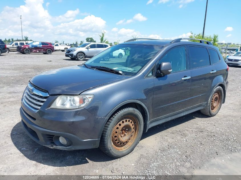 4S4WX90D194402480 2009 Subaru Tribeca