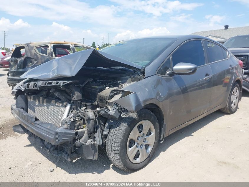 2016 Kia Forte VIN: KNAFK4A63G5620768 Lot: 12034674