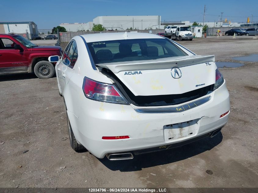 2012 Acura Tl VIN: 19UUA9F70CA801082 Lot: 12034796