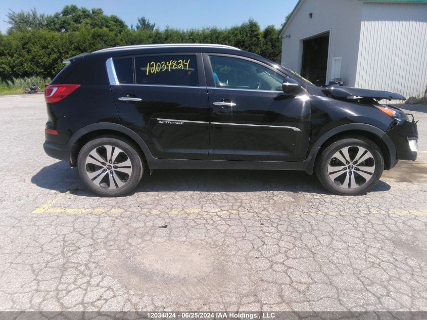 2013 Kia Sportage VIN: KNDPC3A20D7450686 Lot: 12034824