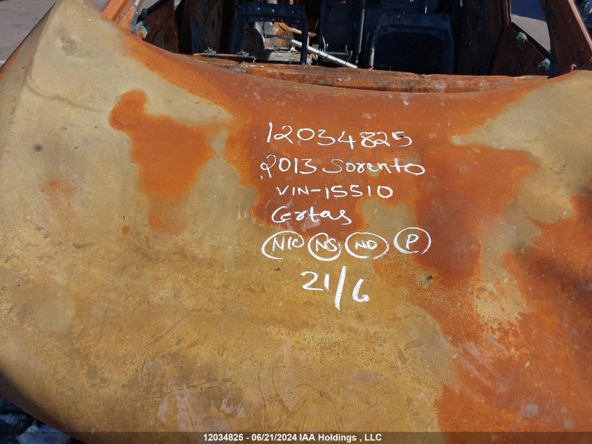 2013 Kia Sorento VIN: 5XYKTCA61DG315510 Lot: 12034825