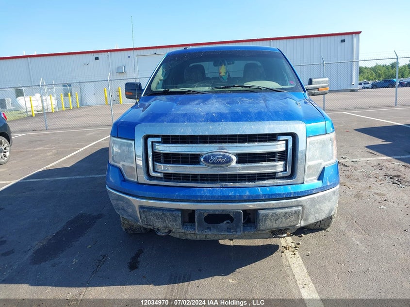 2013 Ford F-150 Xlt VIN: 1FTFW1EFXDFA82298 Lot: 12034970