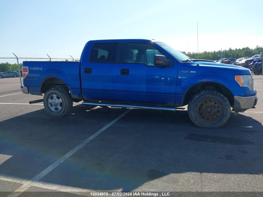 2013 Ford F-150 Xlt VIN: 1FTFW1EFXDFA82298 Lot: 12034970