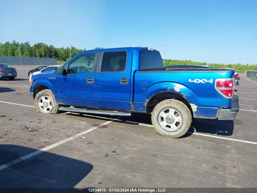 2013 Ford F-150 Xlt VIN: 1FTFW1EFXDFA82298 Lot: 12034970