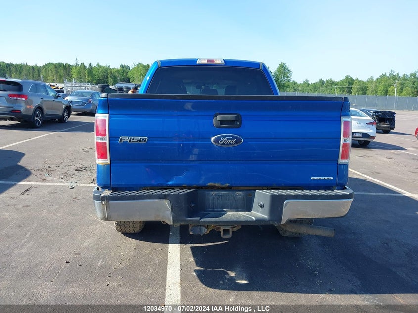 2013 Ford F-150 Xlt VIN: 1FTFW1EFXDFA82298 Lot: 12034970