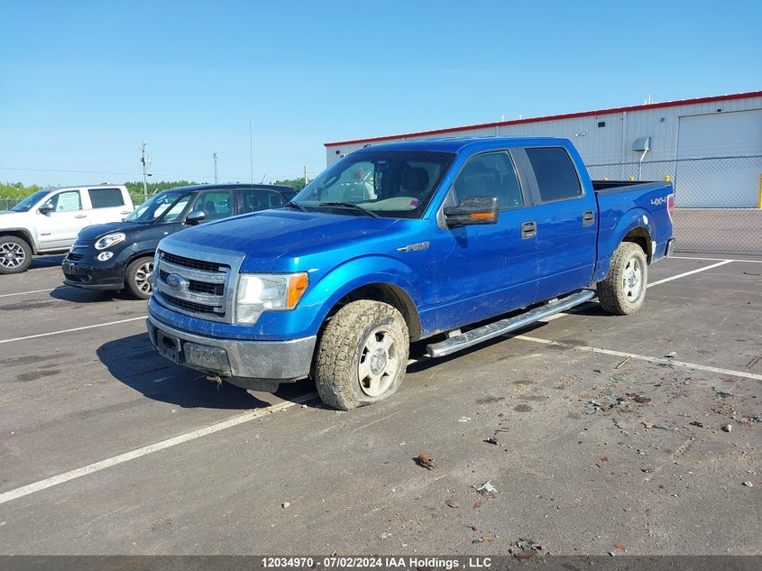 2013 Ford F-150 Xlt VIN: 1FTFW1EFXDFA82298 Lot: 12034970