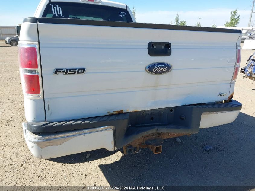 2010 Ford F-150 VIN: 1FTFX1EVXAFB00752 Lot: 12035007