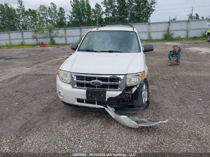 2009 Ford Escape VIN: 1FMCU03G19KA10902 Lot: 12035083