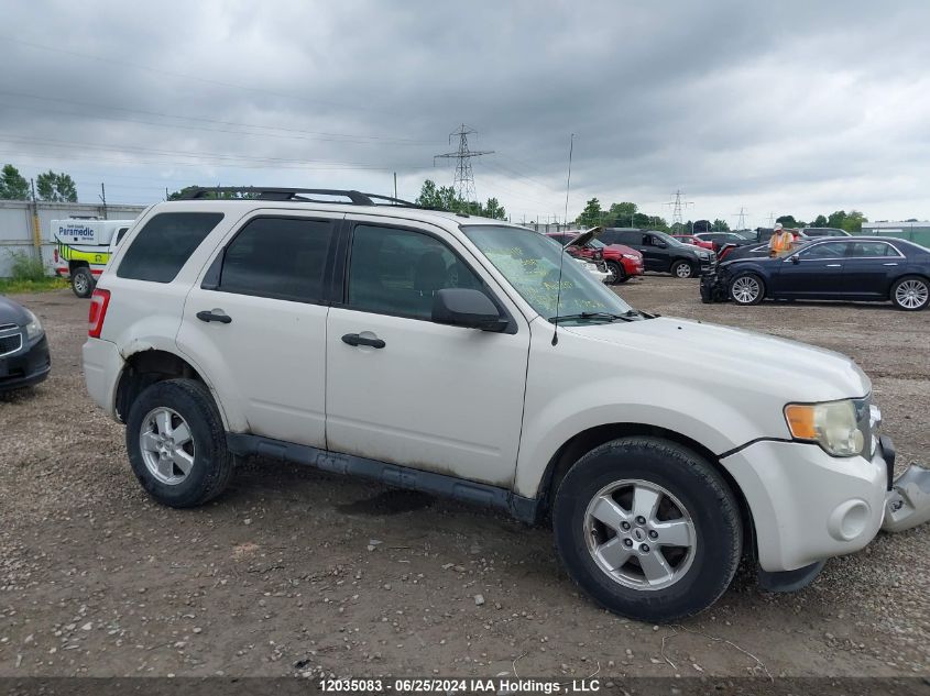 2009 Ford Escape VIN: 1FMCU03G19KA10902 Lot: 12035083