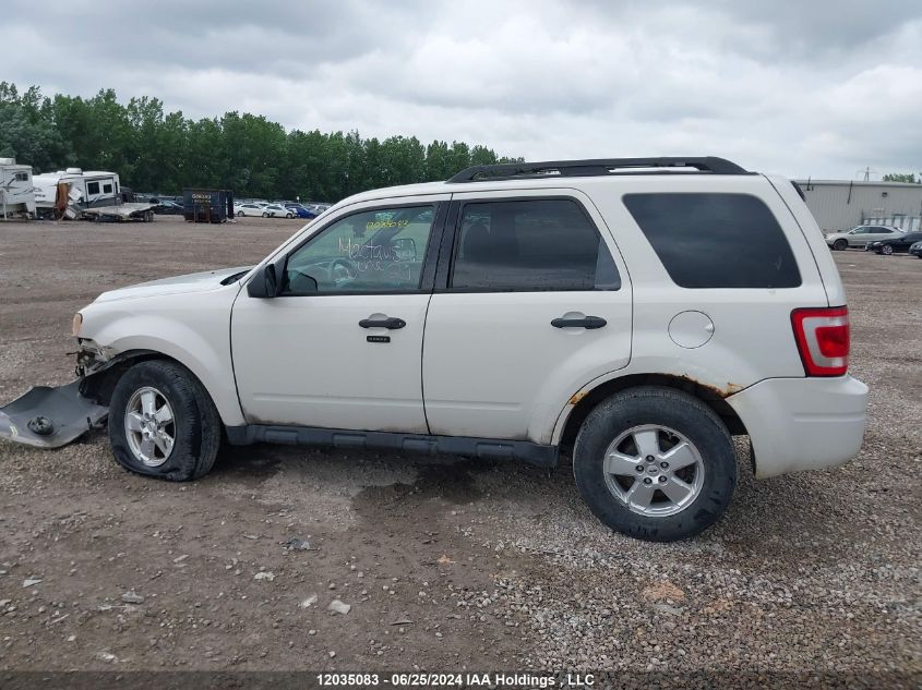 2009 Ford Escape VIN: 1FMCU03G19KA10902 Lot: 12035083