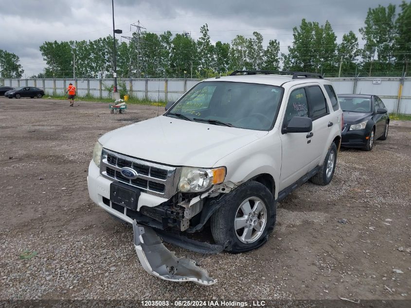 2009 Ford Escape VIN: 1FMCU03G19KA10902 Lot: 12035083