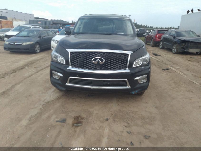 2017 Infiniti Qx80 VIN: JN8AZ2NE9H9150629 Lot: 12035159