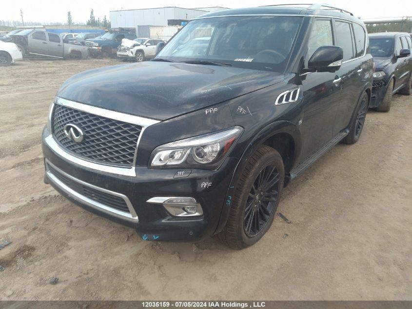 2017 Infiniti Qx80 VIN: JN8AZ2NE9H9150629 Lot: 12035159