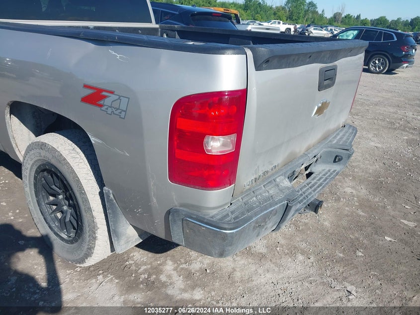 2009 Chevrolet Silverado 1500 VIN: 1GCEK19029Z248915 Lot: 12035277