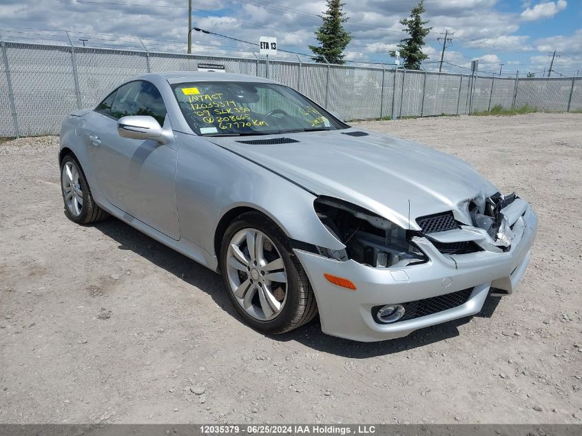 2009 Mercedes-Benz Slk-Class VIN: WDBWK58F19F208665 Lot: 12035379