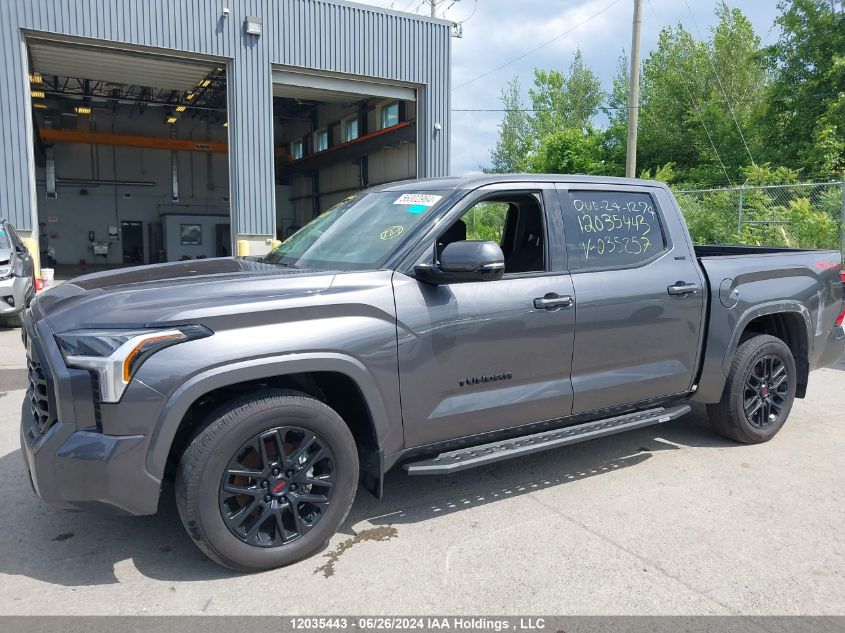 2022 Toyota Tundra Crewmax Sr/Crewmax Sr5 VIN: 5TFLA5DBXNX035257 Lot: 12035443