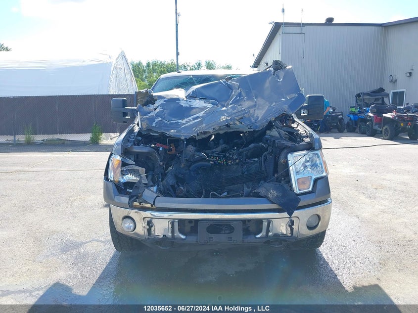 2010 Ford F150 Super Cab VIN: 1FTVX1EV4AKE39963 Lot: 12035652