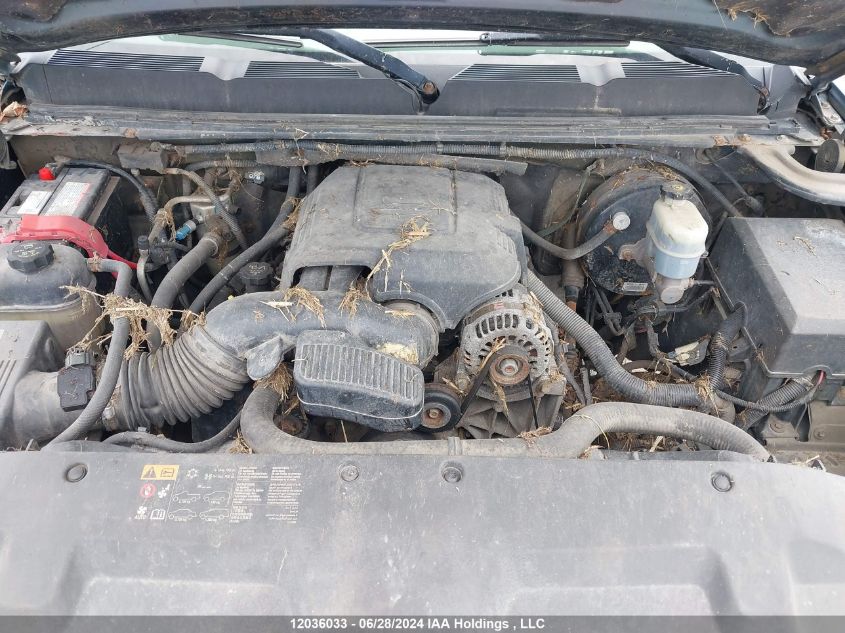 2009 Chevrolet Silverado 1500 VIN: 3GCEK13319G241876 Lot: 12036033