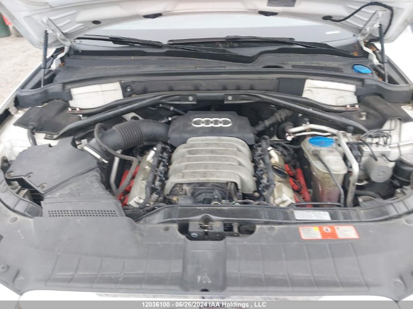 2010 Audi Q5 VIN: WA1LKCFP5AA064411 Lot: 12036100