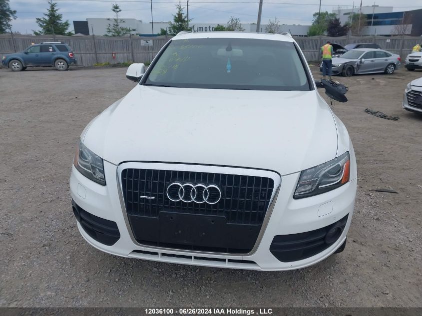 2010 Audi Q5 VIN: WA1LKCFP5AA064411 Lot: 12036100