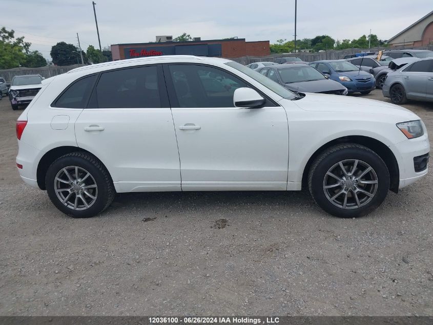 2010 Audi Q5 VIN: WA1LKCFP5AA064411 Lot: 12036100