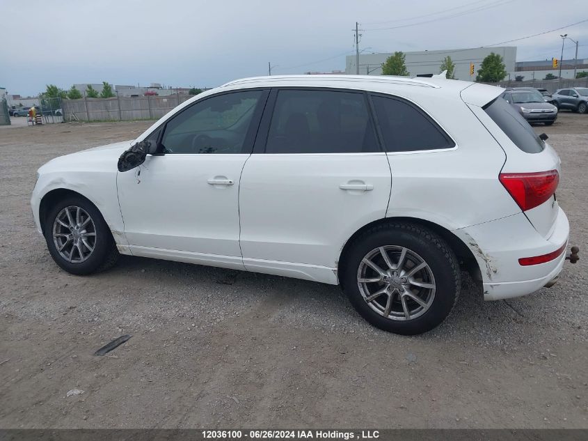 2010 Audi Q5 VIN: WA1LKCFP5AA064411 Lot: 12036100