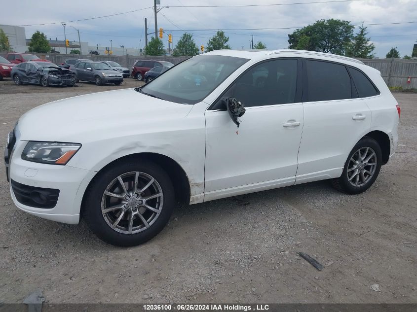 2010 Audi Q5 VIN: WA1LKCFP5AA064411 Lot: 12036100