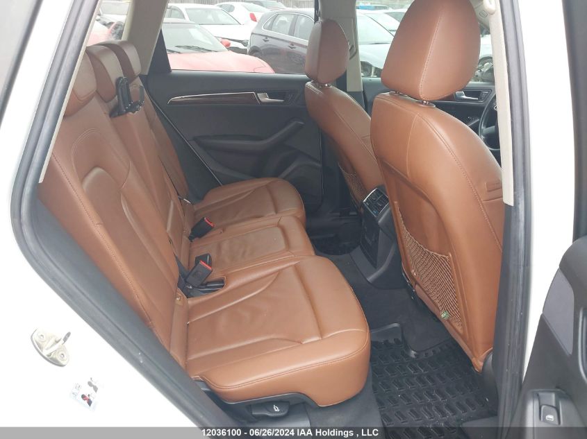 2010 Audi Q5 VIN: WA1LKCFP5AA064411 Lot: 12036100