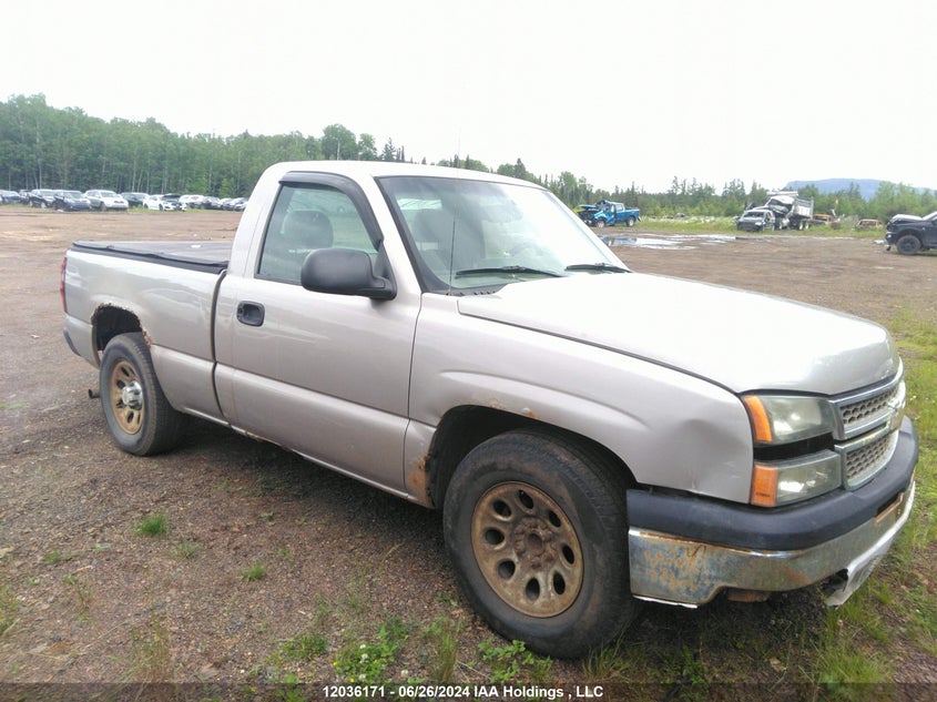 2006 Chevrolet Silverado 1500 Work Truck VIN: 3GCEC14X56G253443 Lot: 12036171