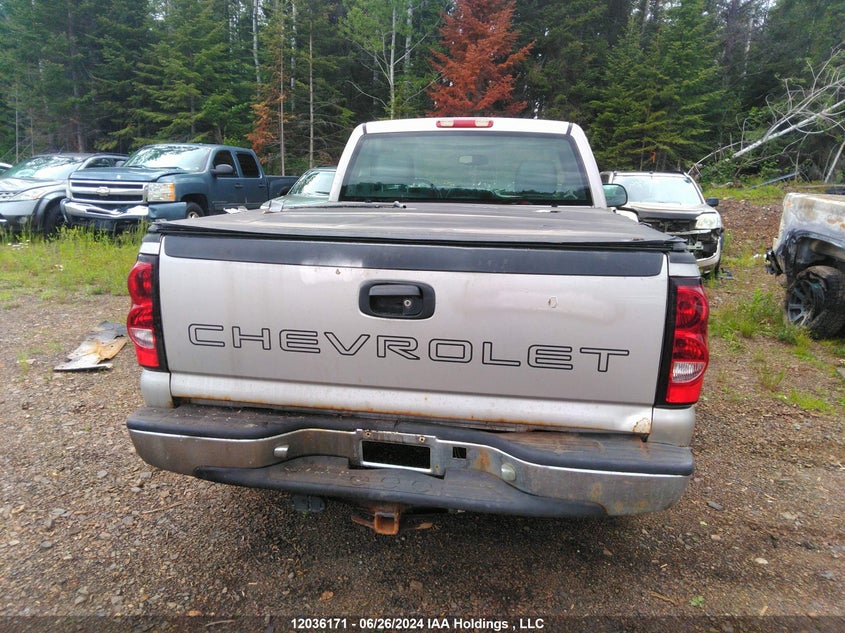 2006 Chevrolet Silverado 1500 Work Truck VIN: 3GCEC14X56G253443 Lot: 12036171