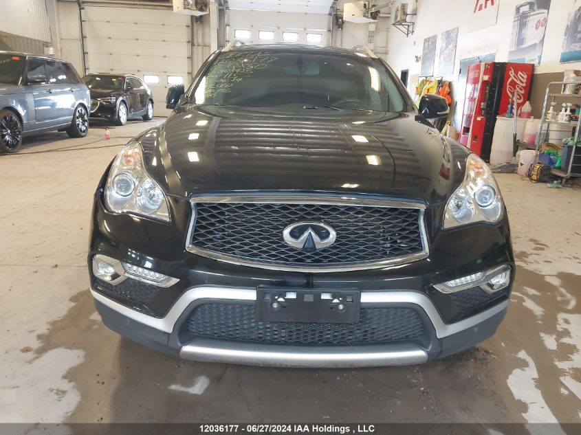 2017 Infiniti Qx50 VIN: JN1BJ0RR1HM408425 Lot: 12036177