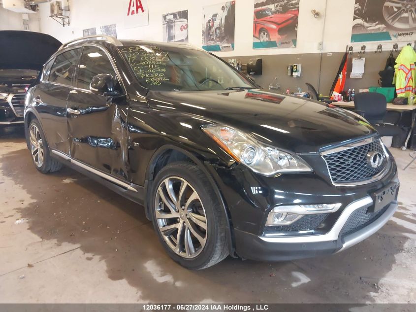 2017 Infiniti Qx50 VIN: JN1BJ0RR1HM408425 Lot: 12036177