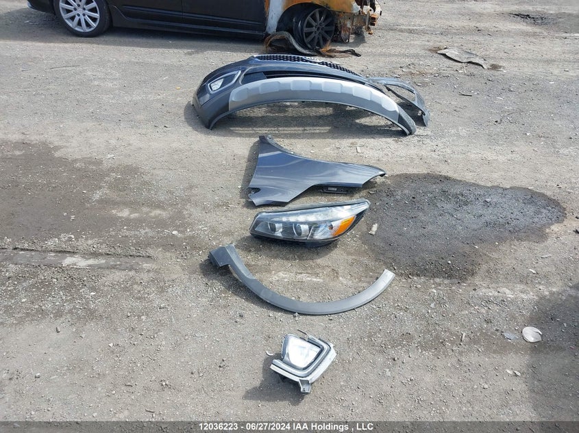 2016 Kia Sorento VIN: 5XYPHDA11GG124031 Lot: 12036223