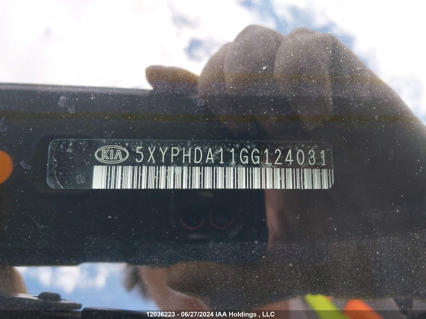 2016 Kia Sorento VIN: 5XYPHDA11GG124031 Lot: 12036223