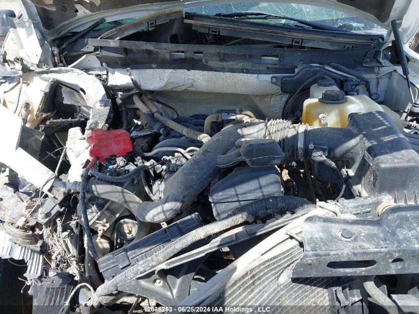 2013 Ford F150 Supercrew VIN: 1FTFW1EF8DFC81981 Lot: 12036253