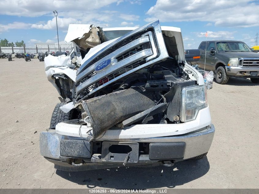 2013 Ford F150 Supercrew VIN: 1FTFW1EF8DFC81981 Lot: 12036253