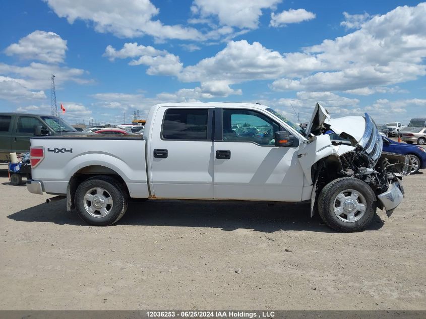 2013 Ford F150 Supercrew VIN: 1FTFW1EF8DFC81981 Lot: 12036253