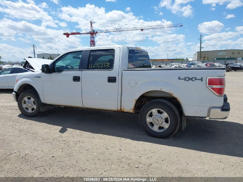 2013 Ford F150 Supercrew VIN: 1FTFW1EF8DFC81981 Lot: 12036253