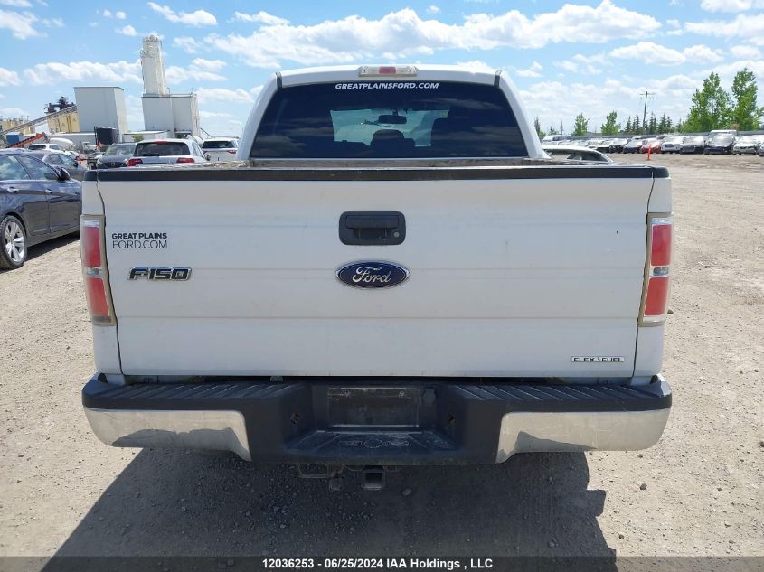 2013 Ford F150 Supercrew VIN: 1FTFW1EF8DFC81981 Lot: 12036253