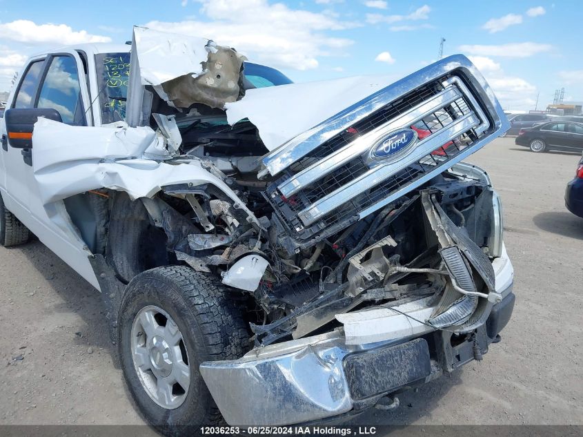 2013 Ford F150 Supercrew VIN: 1FTFW1EF8DFC81981 Lot: 12036253
