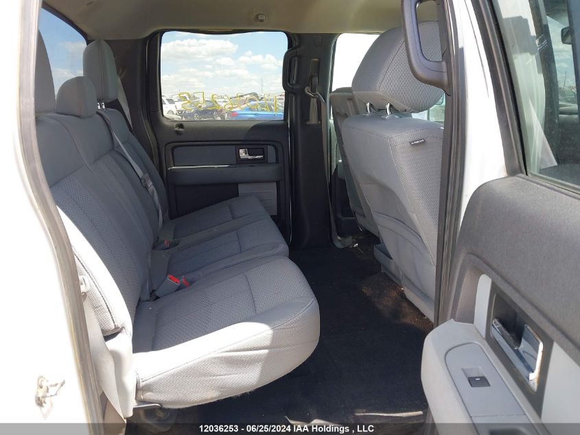 2013 Ford F150 Supercrew VIN: 1FTFW1EF8DFC81981 Lot: 12036253