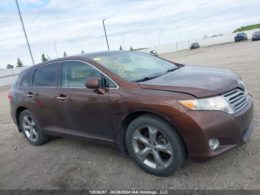 2010 Toyota Venza VIN: 4T3BK3BB9AU036530 Lot: 12036257