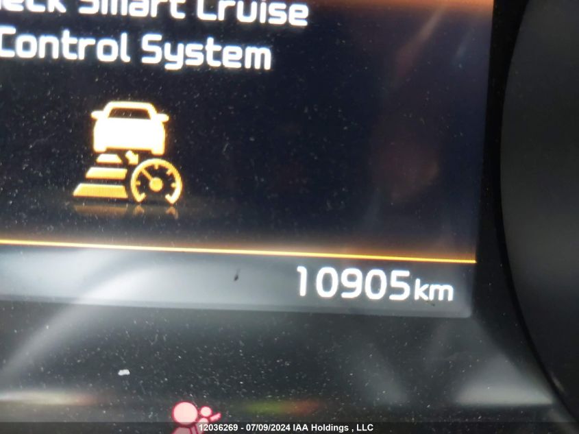 2024 Kia Carnival Ex VIN: KNDNC5H37R6370980 Lot: 12036269