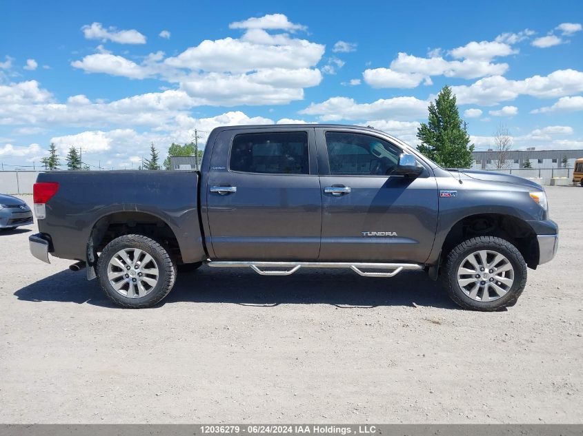 2013 Toyota Tundra Crewmax Ltd/Platinum VIN: 5TFHY5F12DX311239 Lot: 12036279