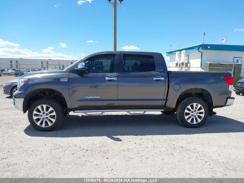 2013 Toyota Tundra Crewmax Ltd/Platinum VIN: 5TFHY5F12DX311239 Lot: 12036279