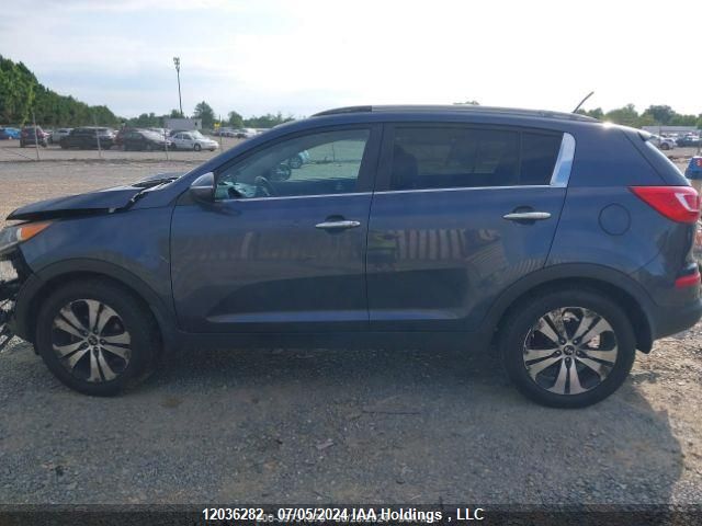 2012 Kia Sportage Ex VIN: KNDPC3A22C7175627 Lot: 12036282