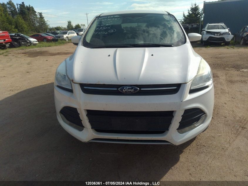 2014 Ford Escape Se VIN: 1FMCU0GX8EUC12905 Lot: 12036361