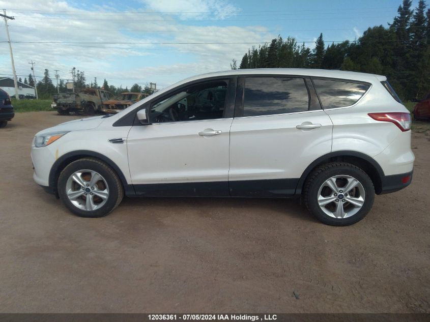 2014 Ford Escape Se VIN: 1FMCU0GX8EUC12905 Lot: 12036361